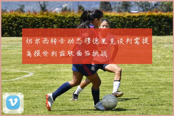 切尔西转会动态穆德里克谈判需提高报价利兹联面临挑战