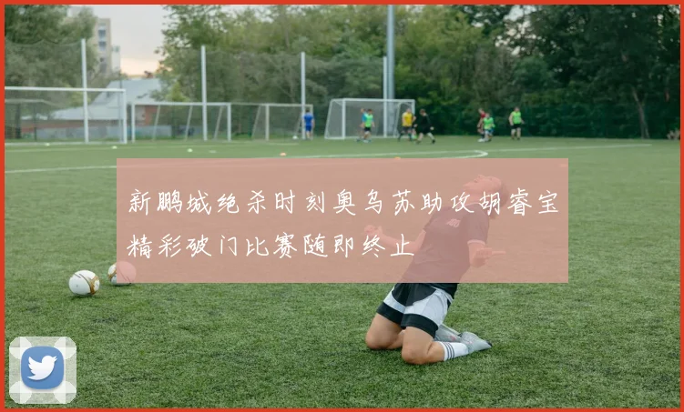 新鹏城绝杀时刻奥乌苏助攻胡睿宝精彩破门比赛随即终止